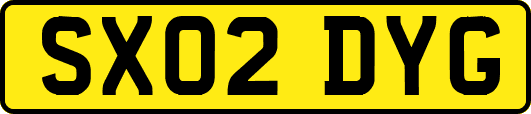 SX02DYG