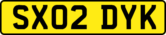 SX02DYK