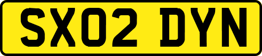 SX02DYN
