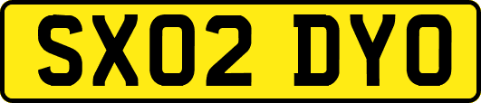 SX02DYO