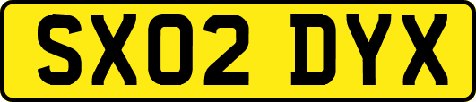 SX02DYX