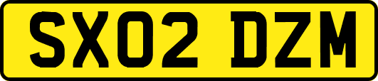 SX02DZM
