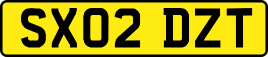 SX02DZT
