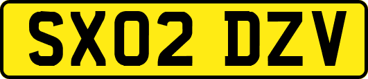 SX02DZV