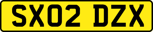 SX02DZX