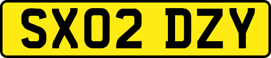 SX02DZY