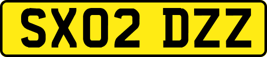 SX02DZZ