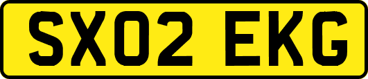 SX02EKG