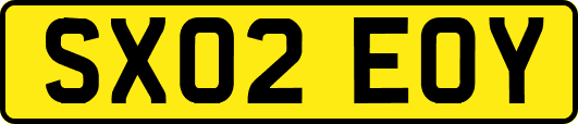 SX02EOY