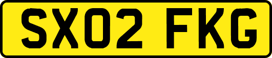 SX02FKG