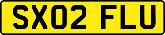 SX02FLU