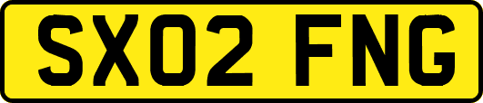 SX02FNG