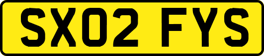 SX02FYS