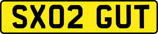 SX02GUT
