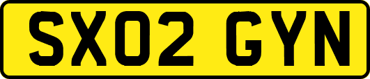 SX02GYN