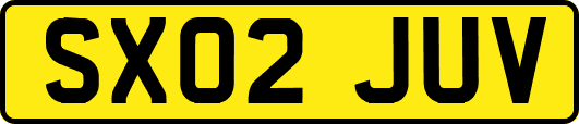 SX02JUV