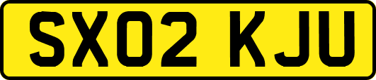 SX02KJU