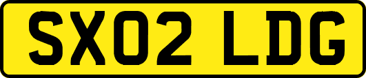 SX02LDG