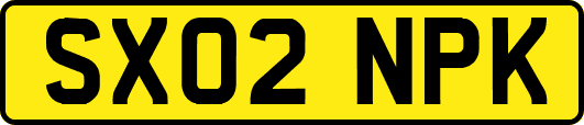 SX02NPK
