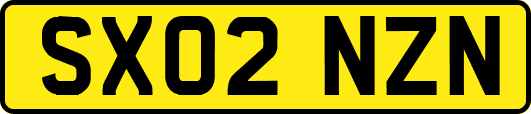 SX02NZN