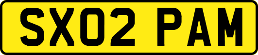 SX02PAM