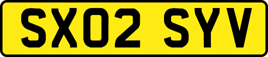 SX02SYV