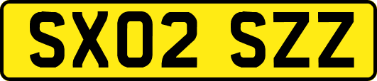 SX02SZZ