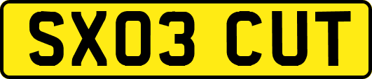 SX03CUT