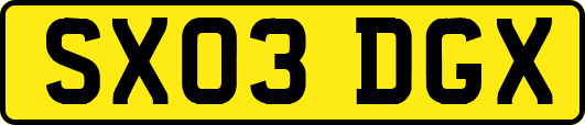 SX03DGX
