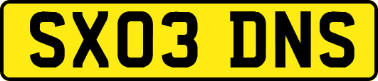 SX03DNS