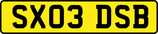 SX03DSB