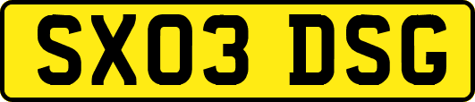 SX03DSG
