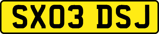 SX03DSJ