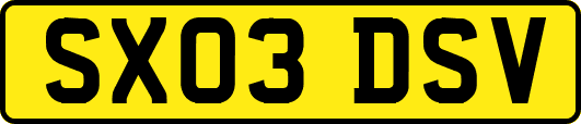 SX03DSV