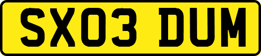 SX03DUM