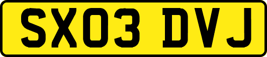 SX03DVJ