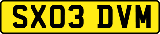 SX03DVM