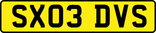 SX03DVS