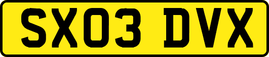 SX03DVX