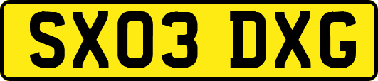 SX03DXG