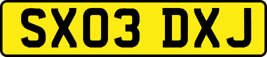 SX03DXJ