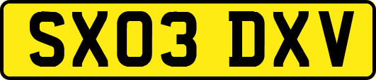 SX03DXV