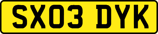 SX03DYK