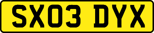 SX03DYX