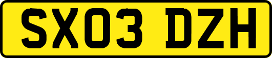 SX03DZH