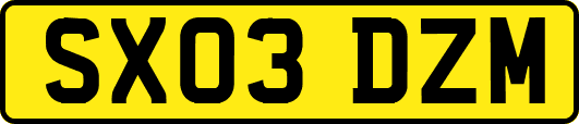 SX03DZM
