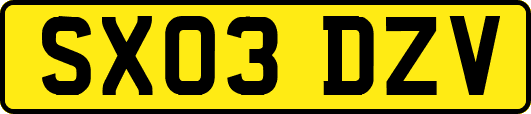 SX03DZV