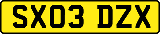 SX03DZX