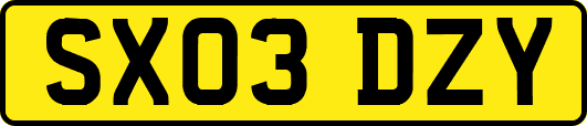SX03DZY