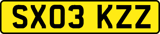 SX03KZZ